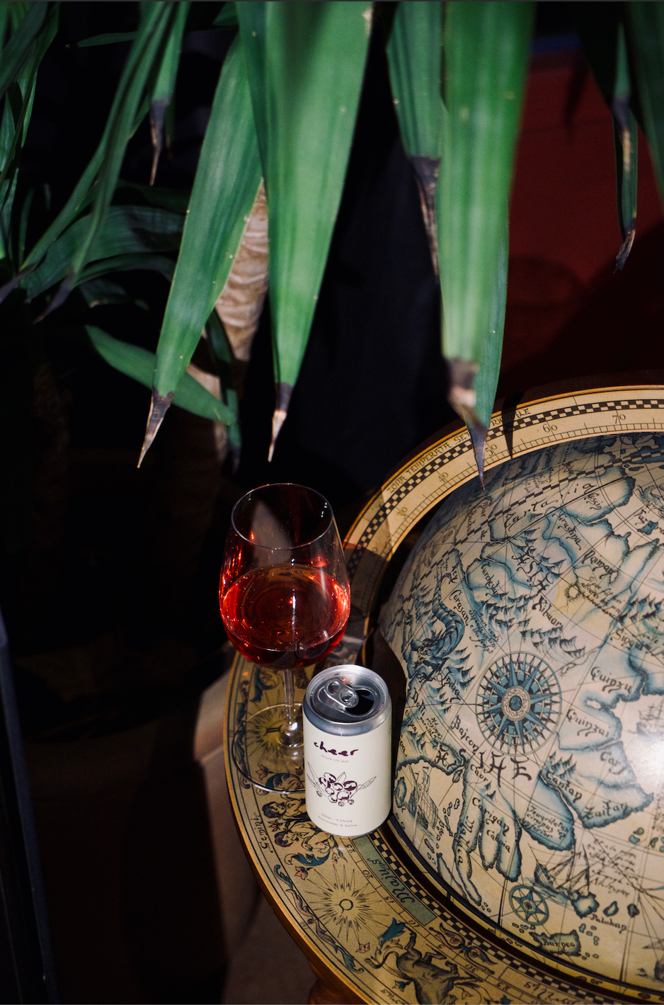 Svartvinbär & salvia